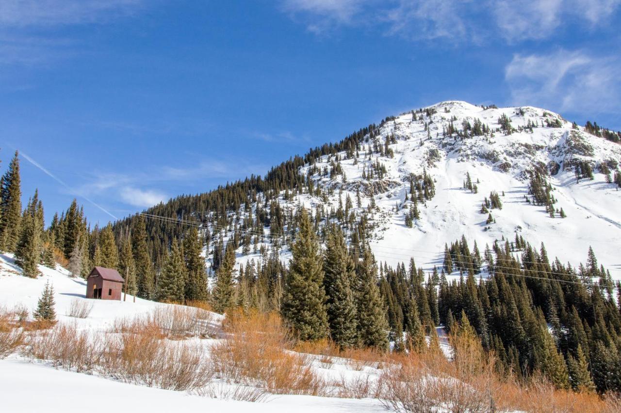 Telluride Town Jewel Διαμέρισμα Εξωτερικό φωτογραφία